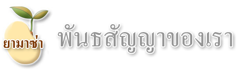 ยามาซ่า พันธสัญญาของเรา